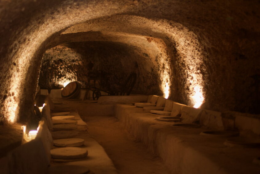 Celler del Roure, Bodega Celler del Roure, WINERY